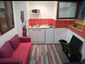 Écurie Appartement hyper centre Strasbourg